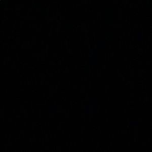 Meet your Posher, Madelyn